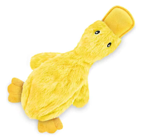 Quack & Play Squeak Toy