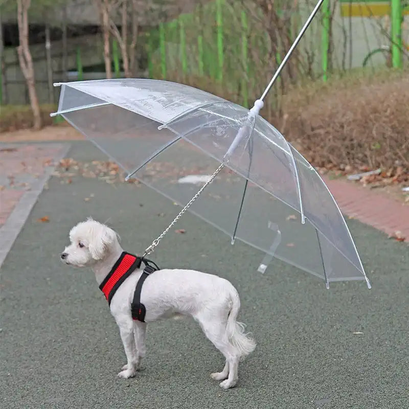 Puppy Rain Shield Leash