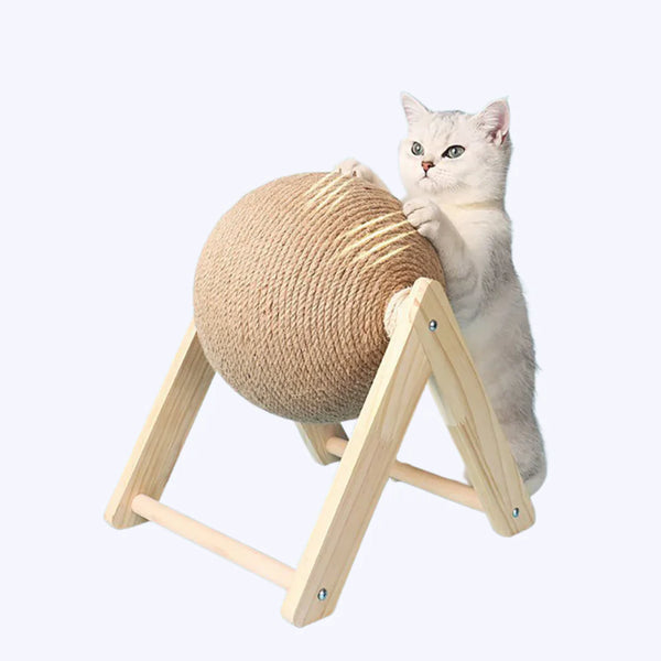 The Kitty Scratching Orbe