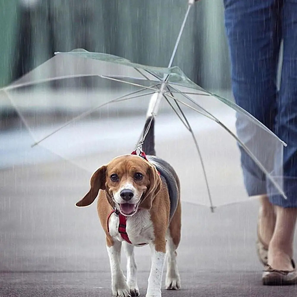 Puppy Rain Shield Leash