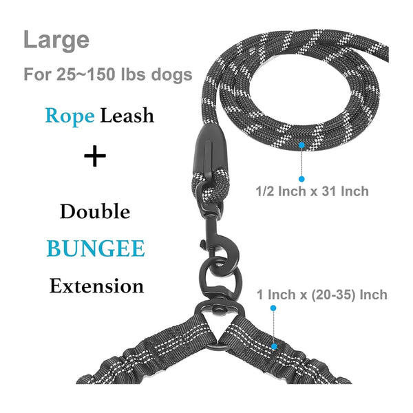 Dual Dog Leash