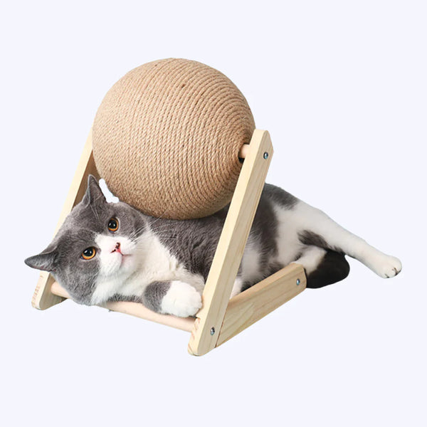 The Kitty Scratching Orbe